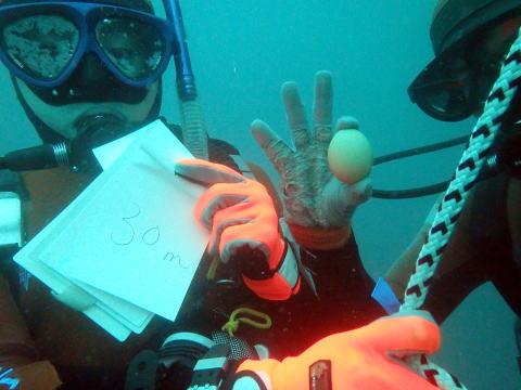 生卵を持つ潜水士